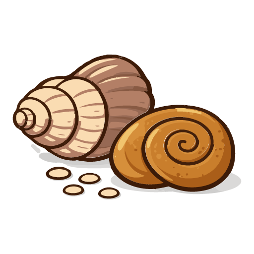 Molluscs